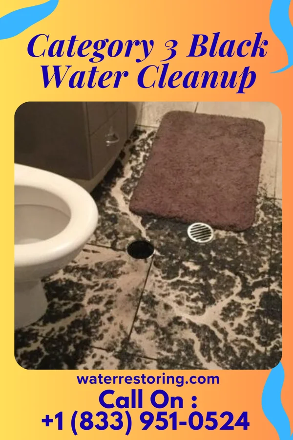 Category 3 Black Water Cleanup in Butte City, ID