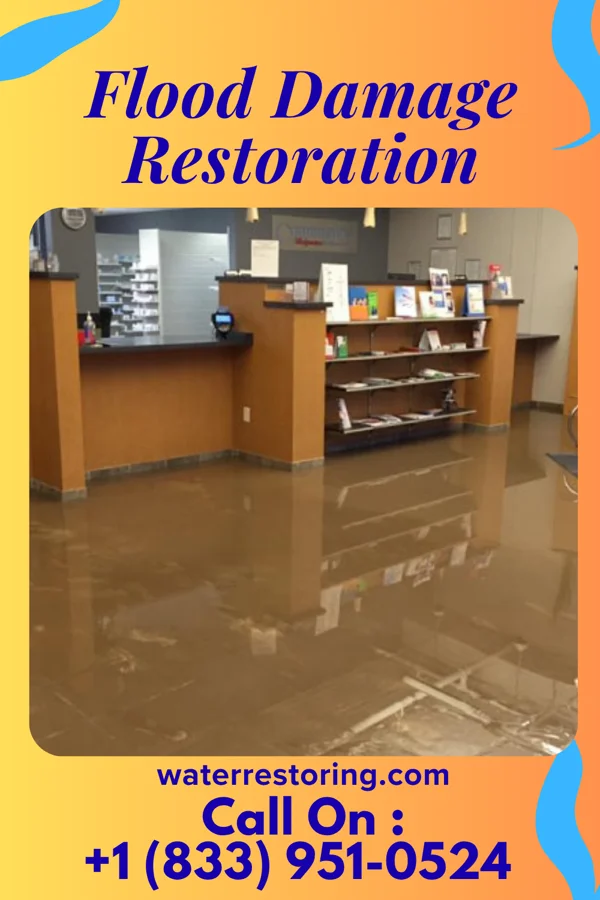 Flood Damage Restoration in Butte City, ID
