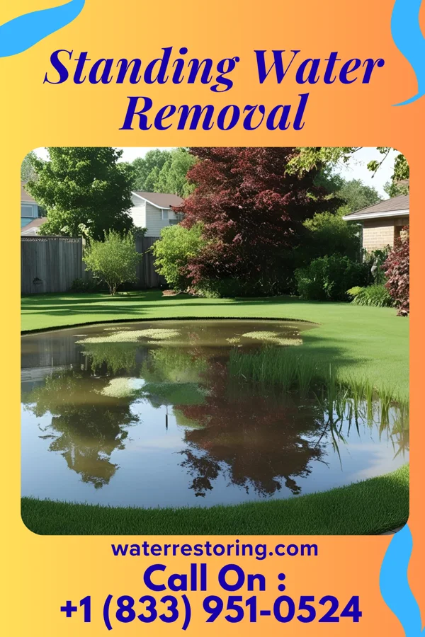 Standing Water Removal in Butte City, ID